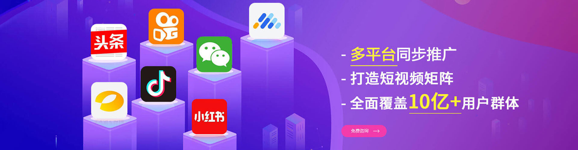 沈丘竞价代运营
