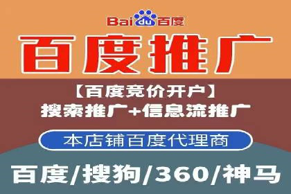 百度品牌广告的创意与执行案例